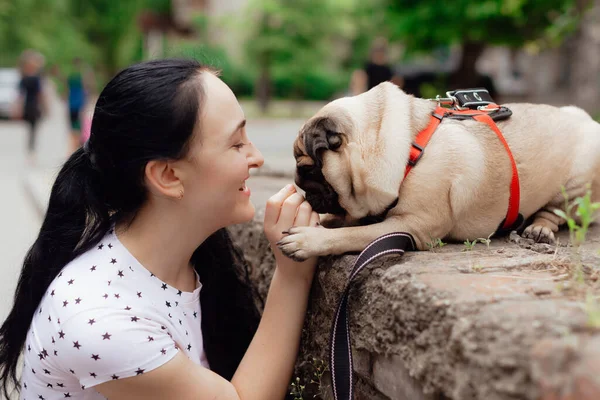 Rapariga Vai Para Passeio Com Cachorrinho Pug Parque Sentado Grama Imagem De Stock