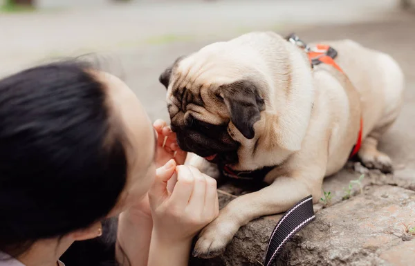 Rapariga Vai Para Passeio Com Cachorrinho Pug Parque Sentado Grama Imagens Royalty-Free