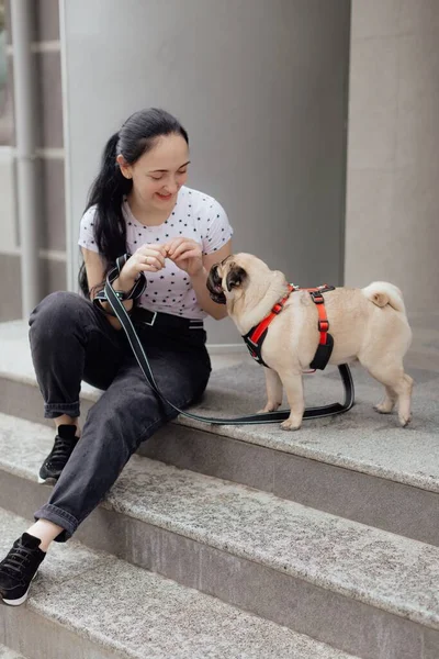 若い女の子は公園で犬のパグと散歩に行きます 草の上に座って 遊びやペットと楽しみを持っています 選択的フォーカス そうだ 閉じろ ストックフォト