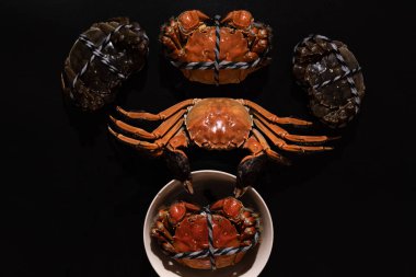 Siyah arka planda Chili ve şifalı bitkilerle haşlanmış Şangay kıllı yengeci veya Çin eldiveni yengeci (Eriocheir sinensis)