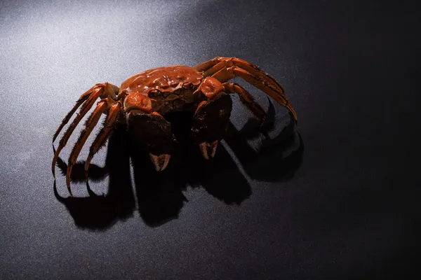 boiled Shanghai hairy crab or Chinese mitten crab (Eriocheir sinensis) with Chili and herb on black background