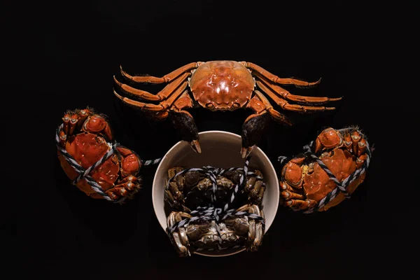 boiled Shanghai hairy crab or Chinese mitten crab (Eriocheir sinensis) with Chili and herb on black background