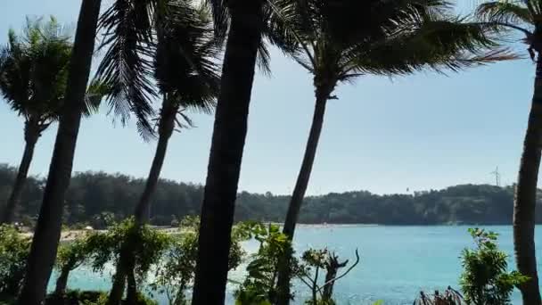 Las ramas de las palmeras son desarrolladas por el viento fuerte. La densa vegetación de las palmeras de coco se mueve contra el fondo del cielo azul. A orillas de la isla. Yates y barcos se pueden ver en el agua azul del mar — Vídeo de stock