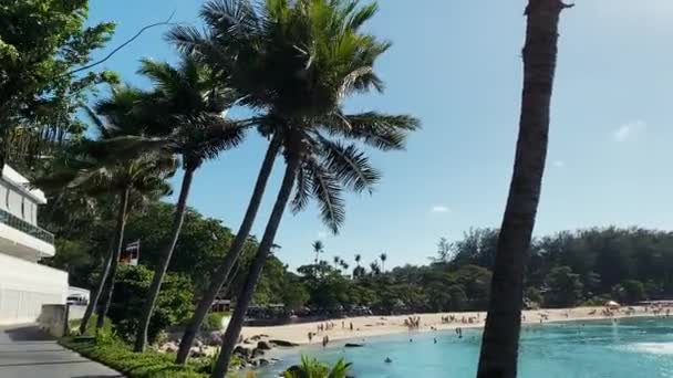 Gałęzie palm są rozwijane przez silny wiatr. Gęsta zieleń palm kokosowych porusza się na tle błękitnego nieba. Wybrzeże wyspy. Jachty i łodzie można zobaczyć na błękitnej wodzie morskiej — Wideo stockowe