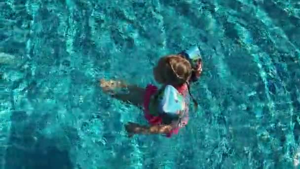 Маленька дівчинка в рожевому купальнику і надувних рукавах плаває в блакитному басейні. Вона активно рухає ноги і бризкає від водяної мухи в різних напрямках. Волосся обплетені косичками. Щасливе дитинство — стокове відео