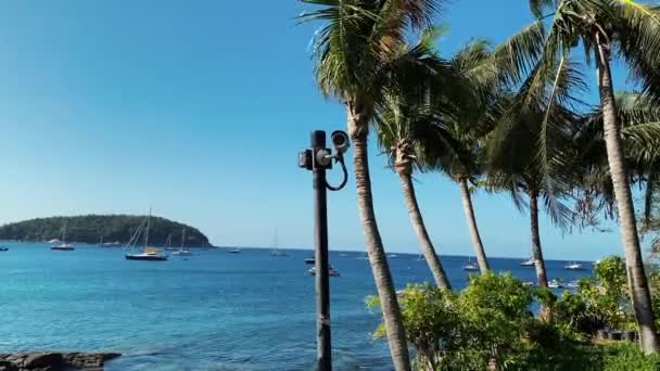 Větve palem jsou vytvářeny silným větrem. Hustá zeleň kokosových palem se pohybuje na pozadí modré oblohy. Na pobřeží ostrova. Jachty a čluny lze vidět na modré mořské vodě — Stock video