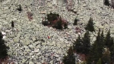 Taganay Ulusal Parkı 'nın havadan görünüşü. Otkliknoy sırtındaki inanılmaz gri kayalar. Kruglitsa Dağı manzarası. Güney Ural. Bulutlu hava, sonbahar, yürüyüş, turizm. İHA video çekimi
