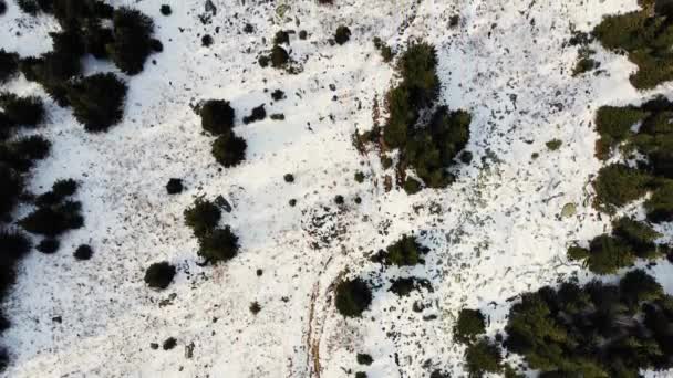 Vista aérea da floresta de outono nas montanhas, a primeira neve. Voando sobre árvores verdes e cinzentas. A terra é branca. Final do Outono. Caminhadas, viagens. Videogravação de cima de drone — Vídeo de Stock