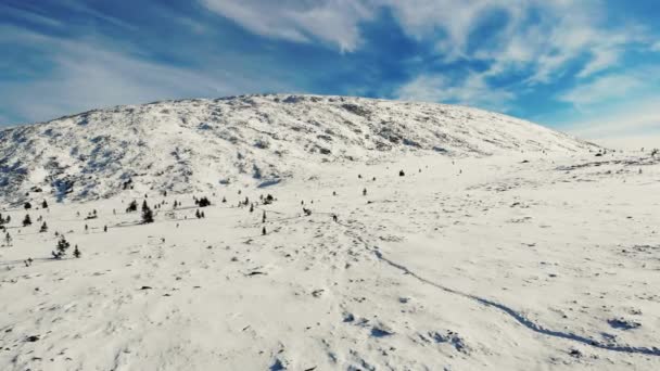 Widok z lotu ptaka na zboczu góry, Ural Południowy. Śnieżna łąka u podnóża góry. Jasnoniebieskie niebo pokryte jest małymi jasnymi białymi chmurami. Słoneczko. Rośnie mała jodła. Turystyka piesza i turystyczna — Wideo stockowe