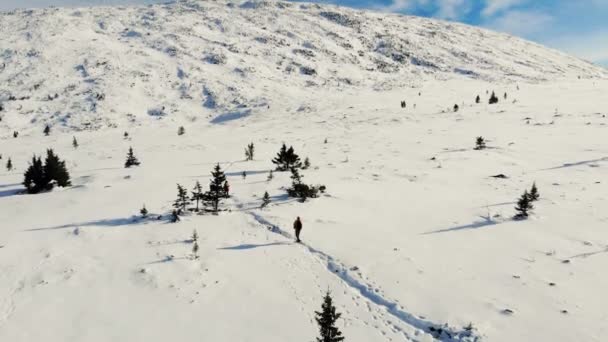 Uitzicht vanuit de lucht op de berghelling, Zuid-Oeral. Toeristen lopen langs een pad door besneeuwde weide naar de top van de berg. De heldere blauwe lucht is bedekt met kleine heldere witte wolken. Zonnig. Wandelen — Stockvideo