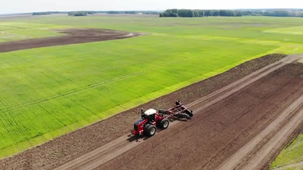 Red harvester drives across field and plows earth. Sows grain in field. He drives and leaves tracks in form of stripes. Russian field, harvesting, grain, agriculture, cultivation, modern technologies — 图库视频影像
