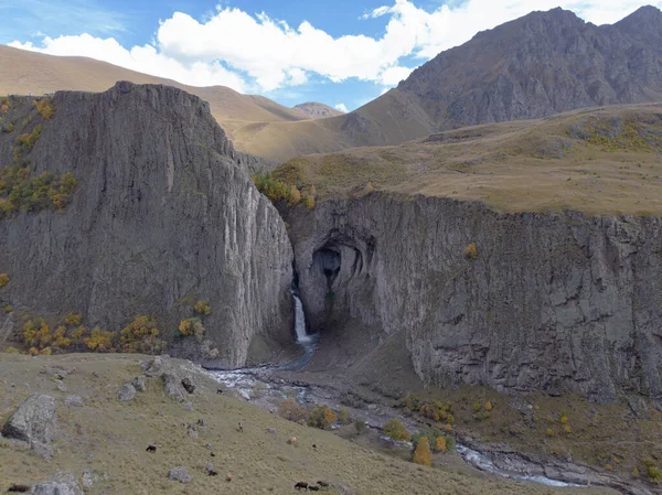 Vue aérienne de la grande cascade, Caucase. Puissant ruisseau d'eau propre s'échappe de la fonte des glaciers, tombe des montagnes et coule comme une rivière bleue. Les vaches paissent sur les pentes vertes. Faune Images De Stock Libres De Droits