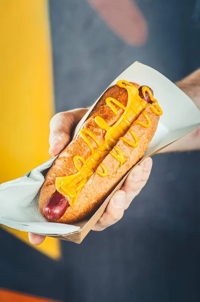 Man Suggereert Vers Bereide Hotdog Met Kaas Een Papieren Doos — Stockfoto