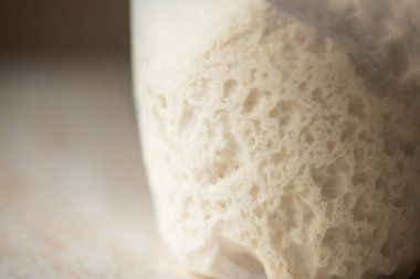 Fresh lievito madre - Italian stiff starter in a jar.