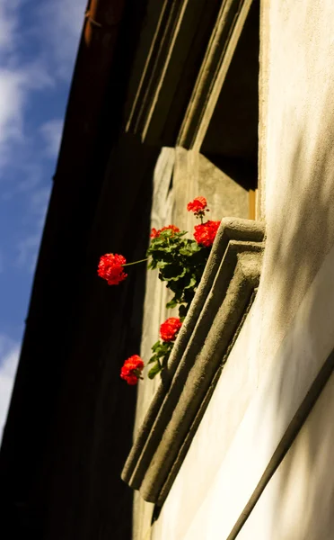 Pohled na staré Evropské okno — Stock fotografie