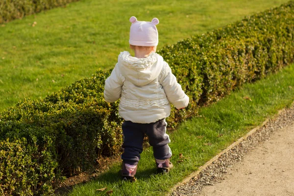 Babymeisje is wandelen langs een hedge — Stockfoto