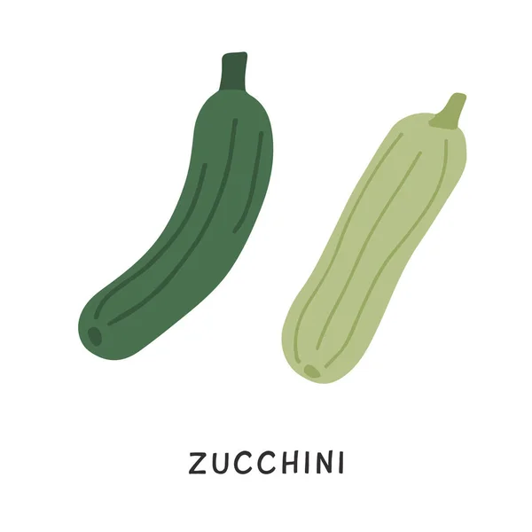 Ekologisk naturlig grön zucchini vektor platt illustration. Enkel klotter stil Squash Vegetabilisk för hälsosam kost isolerad på vitt. — Stock vektor