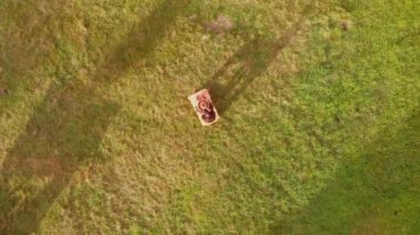 Erkek çömlekçinin çömlekçi çarkında seramik yaparken, killeri sularken ve şekillenirken hava görüntüsü. Potter, elle dönen tekerlekte suyu karıştırarak çömlek kalıbı oluşturur. Sıkı çalışma konsepti