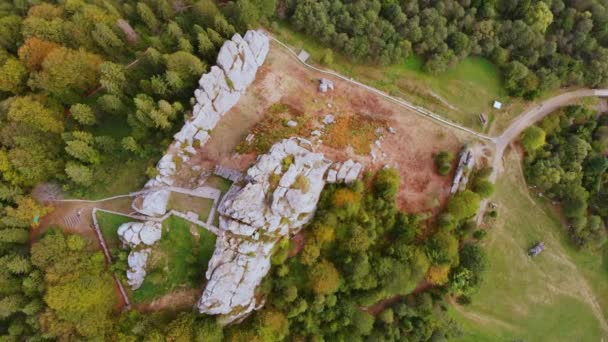 Vista Aérea Drone Famosa Fortaleza Tustan Monumento Medieval Ucraniano Lado — Vídeo de Stock