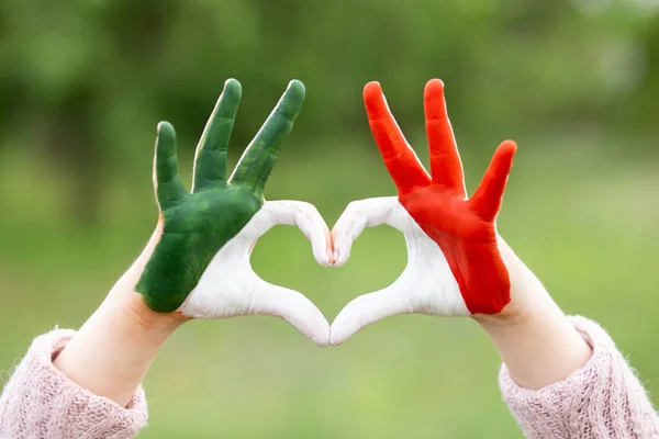 Child Hands Heart Shape Painted Mexico Flag Color Love Mexico —  Fotos de Stock