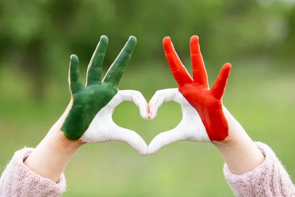 Child Hands Heart Shape Painted Mexico Flag Color Love Mexico Foto Stock