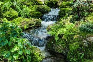 Waterfall in a small garden behind the house