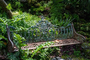 Old iron bench in the backyard