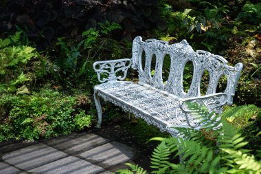 white iron bench in the backyard garden