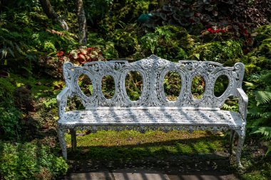 white iron bench in the backyard garden
