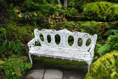 white iron bench in the backyard garden
