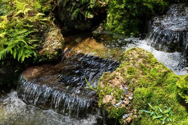 Waterfall in a small garden behind the house