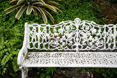 white iron bench in the backyard garden