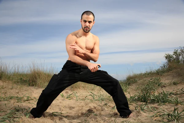 Instructor de artes marciales —  Fotos de Stock