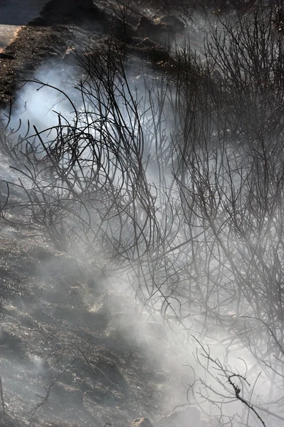 ザキントス島低スケール volimes 2013 年 7 月 3 日、ギリシャの火します。 — ストック写真