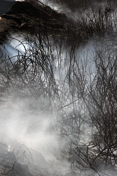 Закінф острів низький масштабу пожежа в volimes 03 липня 2013 року, Греція — стокове фото