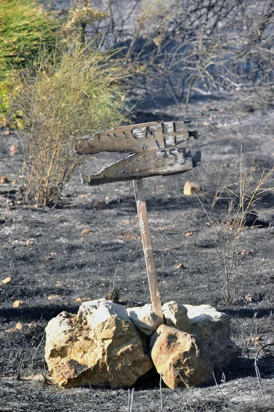 Isla de Zakynthos incendio a baja escala en volimes 03 de julio 2013, Grecia —  Fotos de Stock