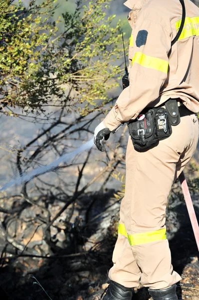 Incendie à basse échelle sur l'île de Zakynthos à Volimes 03 juillet 2013, Grèce — Photo