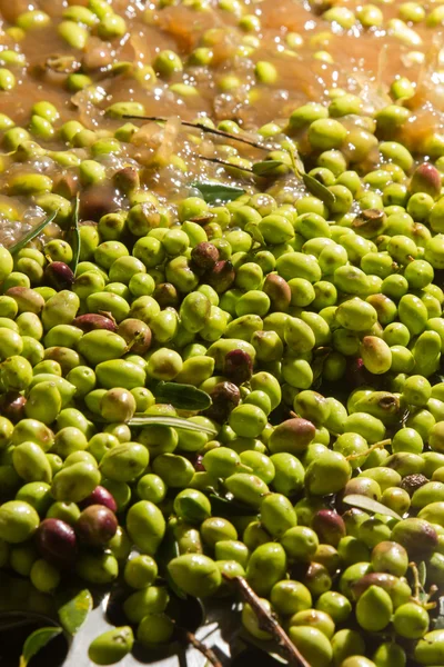 Primer plano de las aceitunas en una máquina de aceite de oliva —  Fotos de Stock