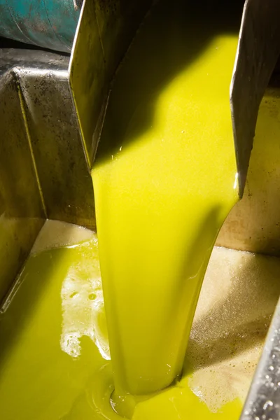 Extra virgin olive oil — Stock Photo, Image