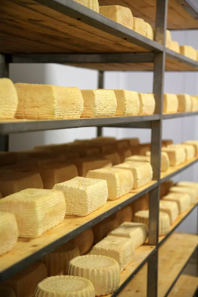 maturing cheese storehouse