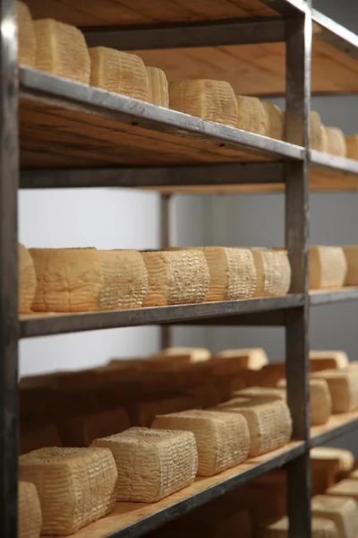 Ωρίμανσης τυρί αποθήκη — Φωτογραφία Αρχείου