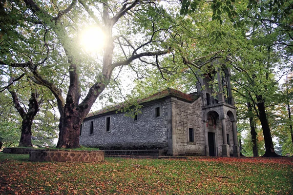 Pequena igreja cercada de árvores — Fotografia de Stock