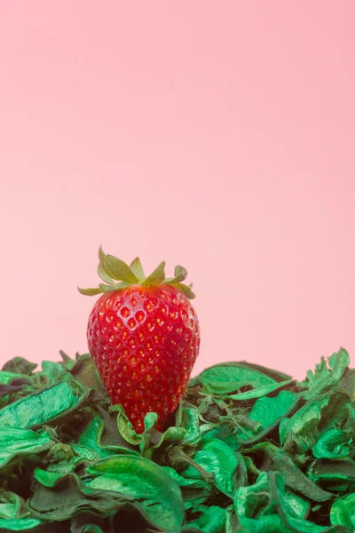 Fragola fresca — Foto Stock