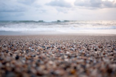 öğleden sonra bir kayalık plaj yakın çekim