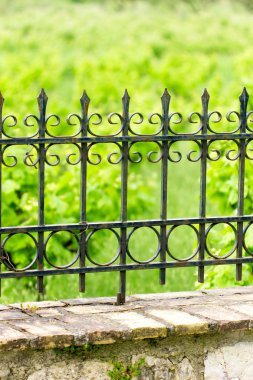 siyah demir çit tasarım ile