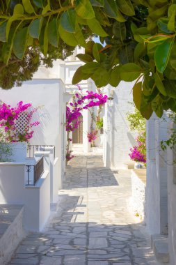 geleneksel sokak Tinos Island, Yunanistan