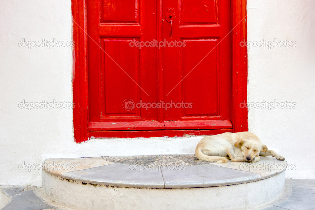 sleeping dog in front of a red door in Mykonos