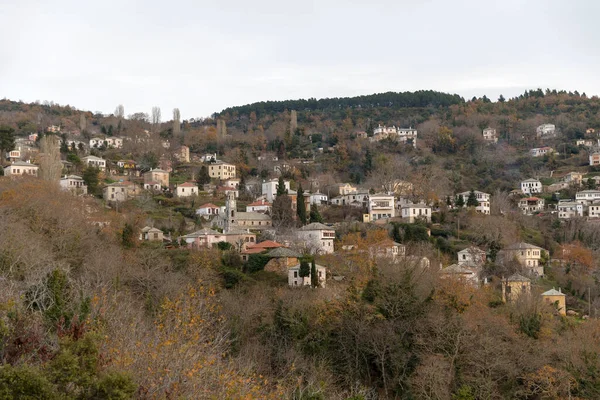 Panoramatický Pohled Tradiční Vesnici Kamennými Domy Zamračeném Dni Řeckém Pelionu — Stock fotografie