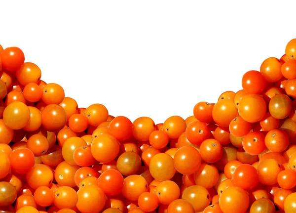 Cherry Tomato Border Design — Stock Photo, Image
