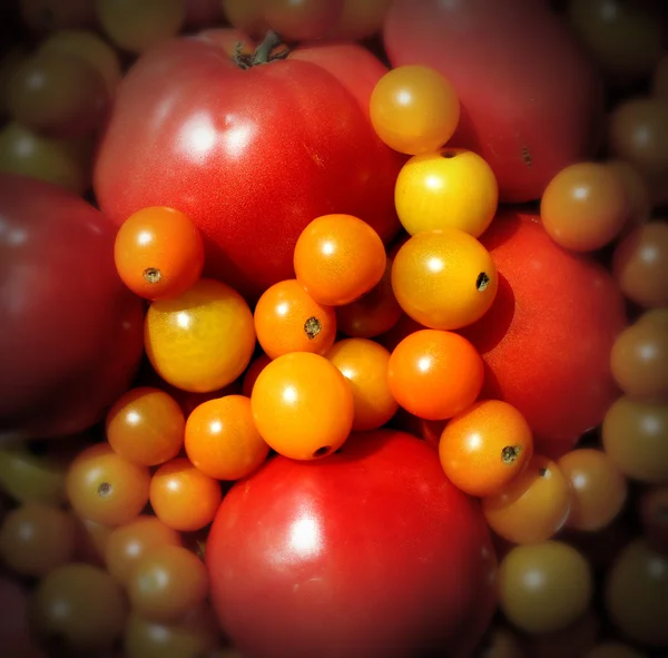 Comercializar tomates —  Fotos de Stock